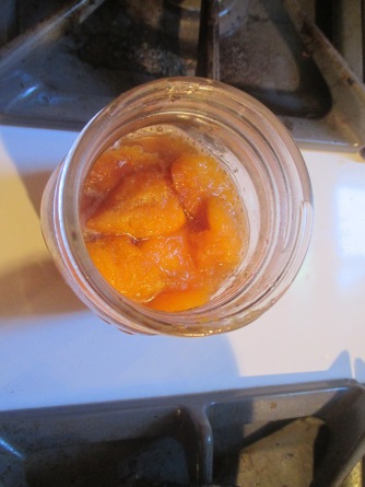 preserved apricots