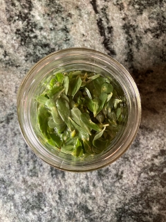 Description: purslane in jar to pickle