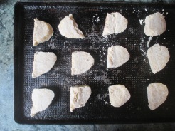 unbaked cookies on baking sheet