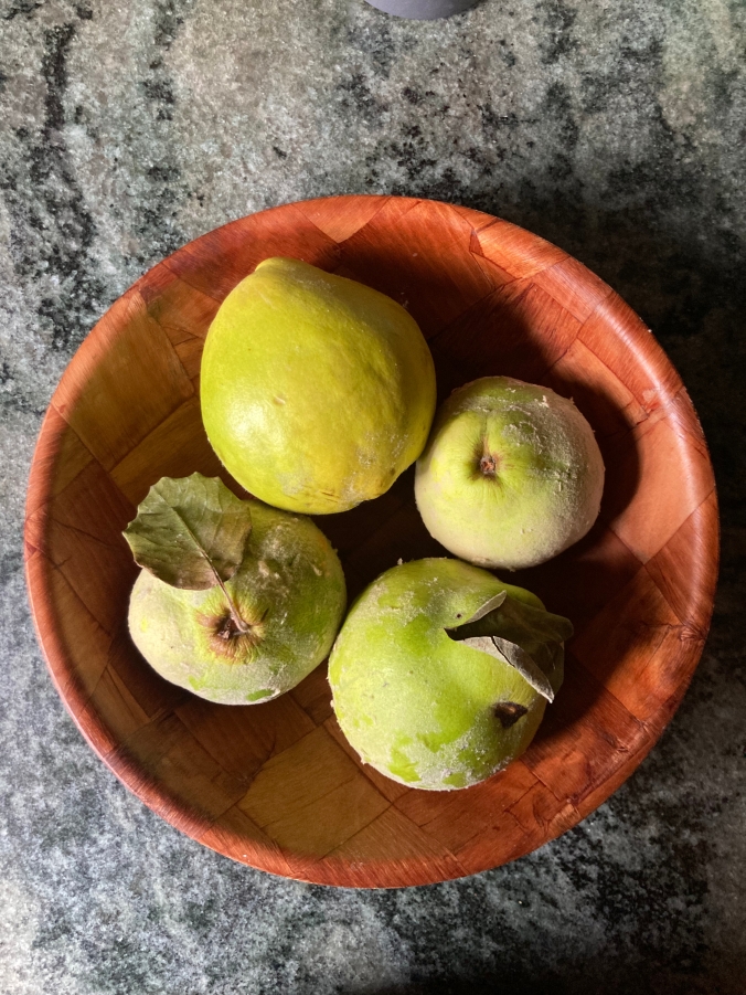 Quinces in a bowl