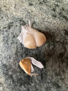 garlic on countertop
